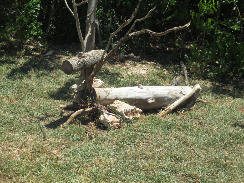 Garden log
