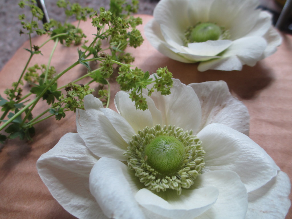 Anemone Wedding Flowers