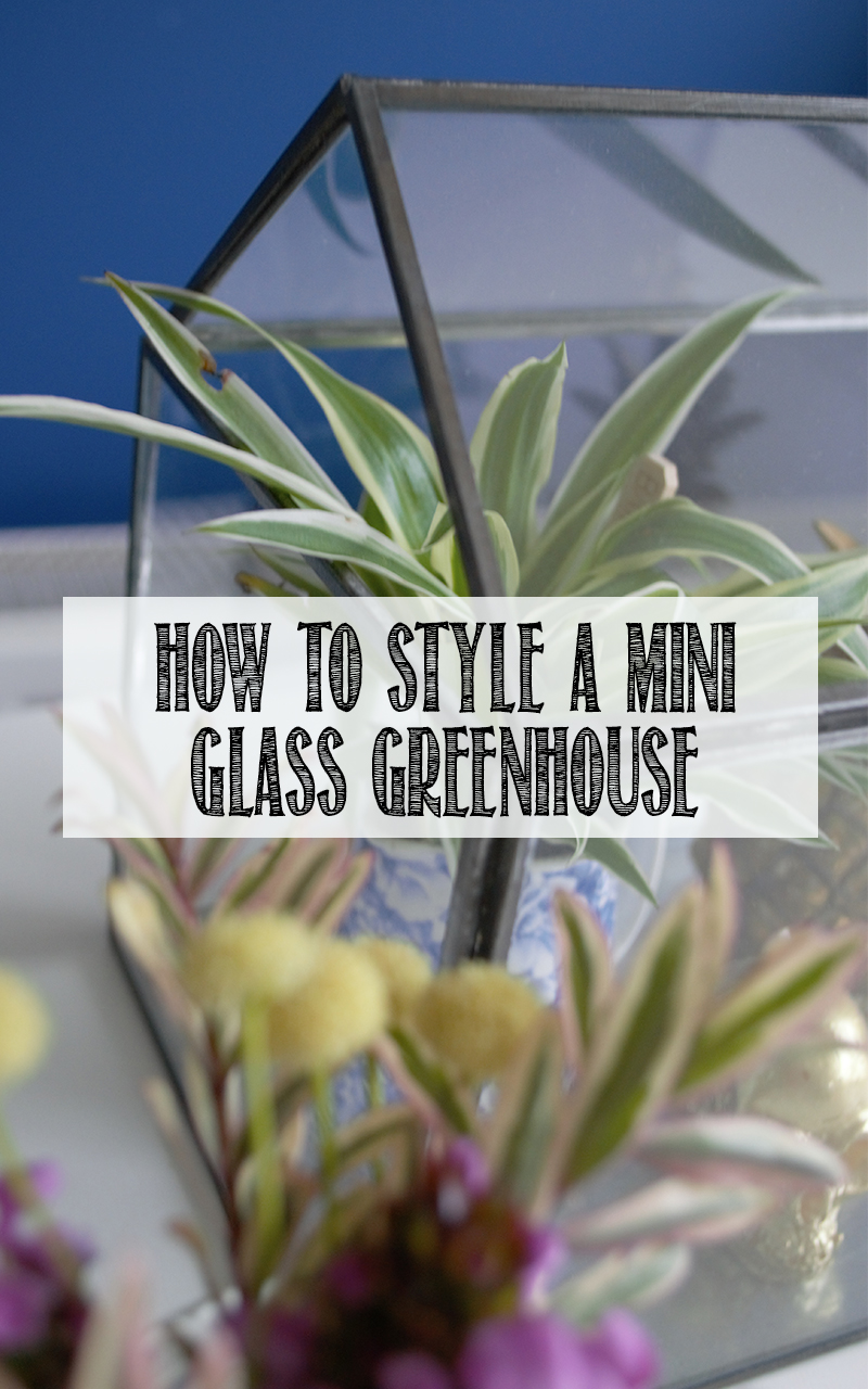 How to style a mini glass greenhouse