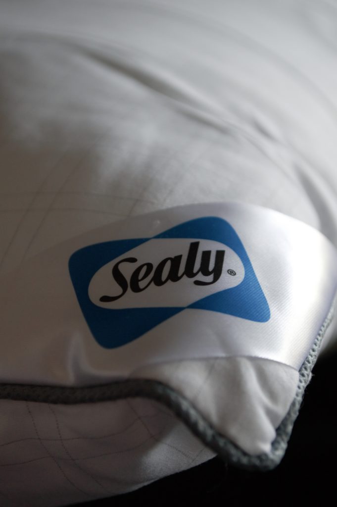 Sealy Pillow